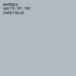 #AFBBC0 - Cadet Blue Color Image
